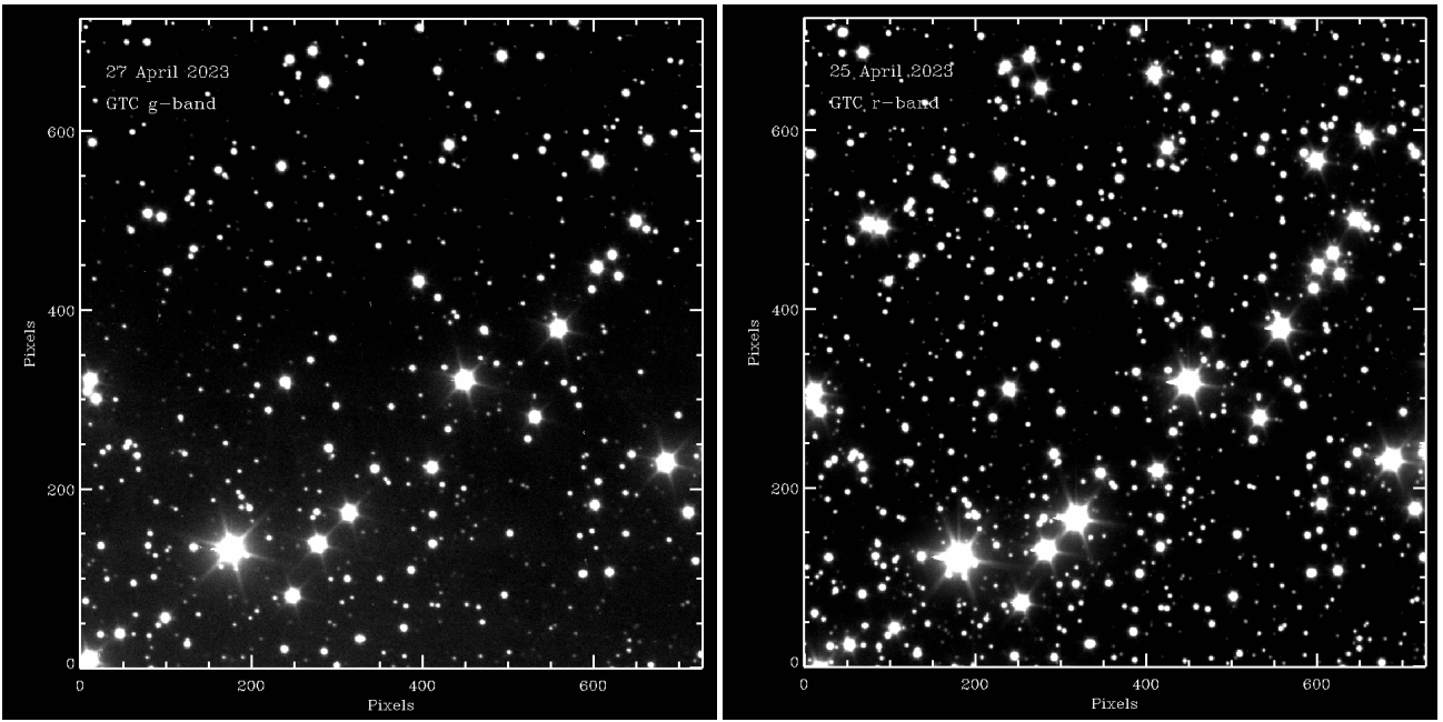 Gran Telescopio Canarias g-band and r-band follow-up images of the same star field from a 1952 Palomar plate where three bright transients vanished within 50 minutes.